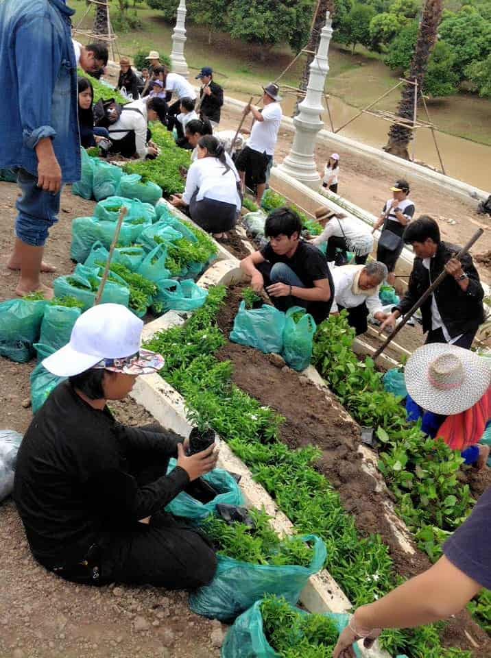 ญาติโยมร่วมกันปลูกต้นไม้